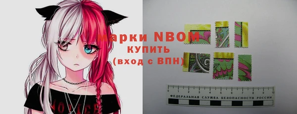ГАЛЛЮЦИНОГЕННЫЕ ГРИБЫ Инта