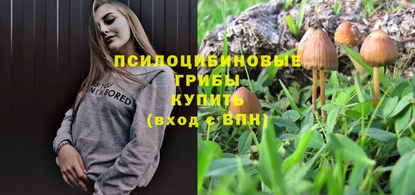 сатива Инсар