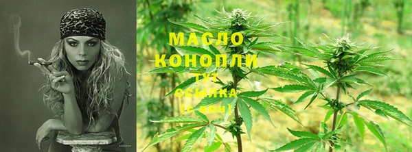 сатива Инсар