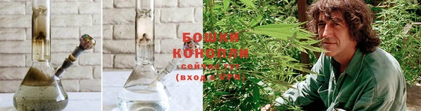 шишки Зеленокумск
