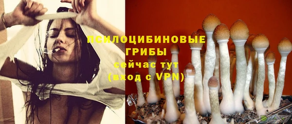 бошки Зерноград