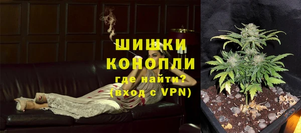 шишки Зеленокумск